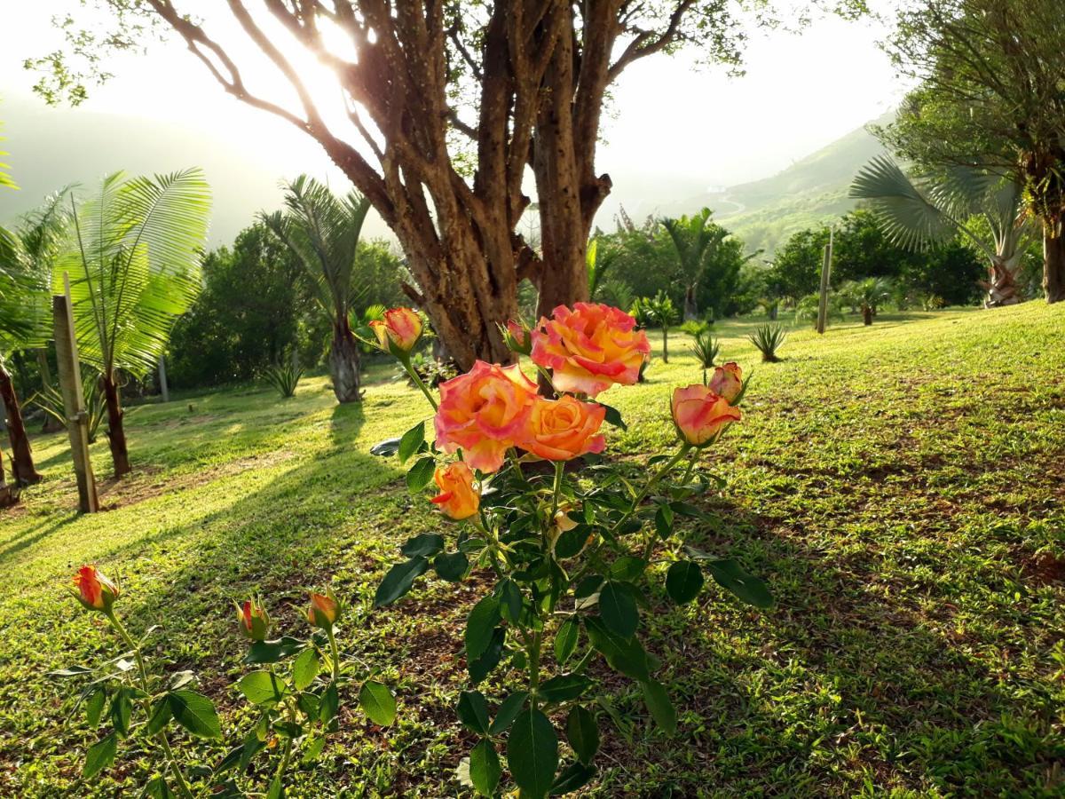 Casa/Sitio Na Serra Em Bom Jardim - Rj Esterno foto