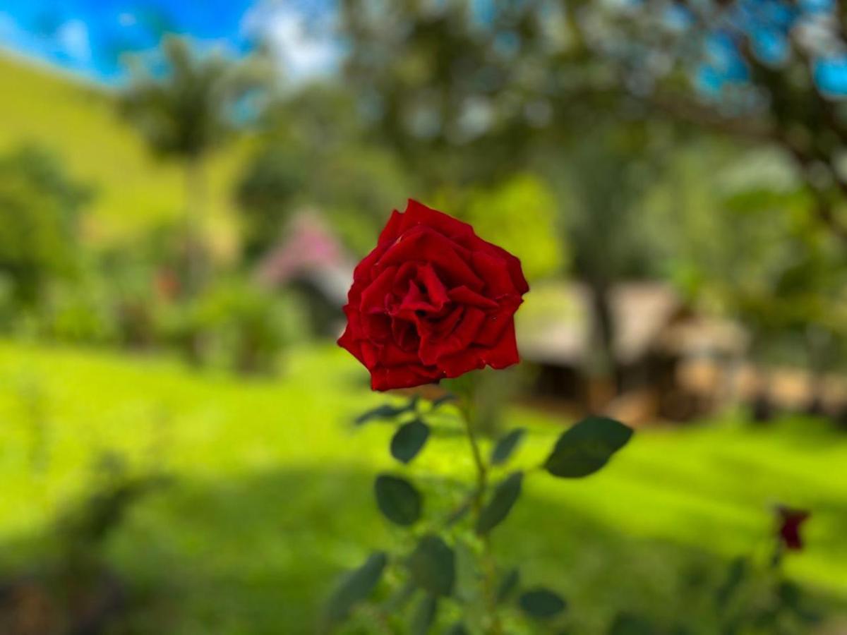 Casa/Sitio Na Serra Em Bom Jardim - Rj Esterno foto