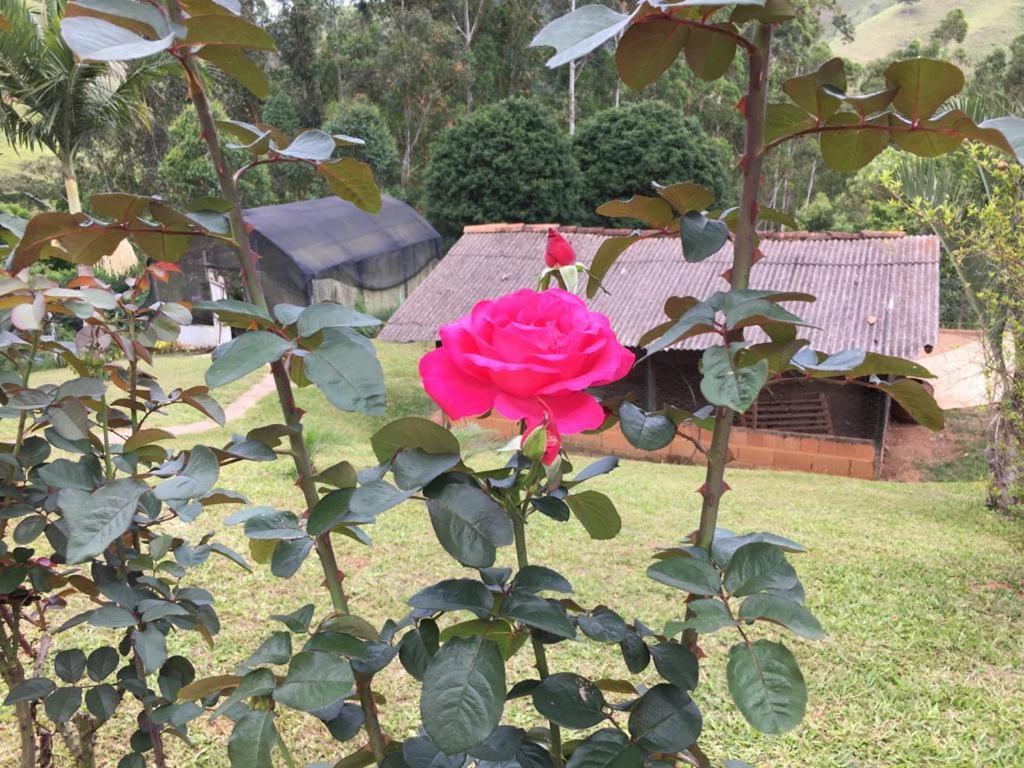 Casa/Sitio Na Serra Em Bom Jardim - Rj Esterno foto