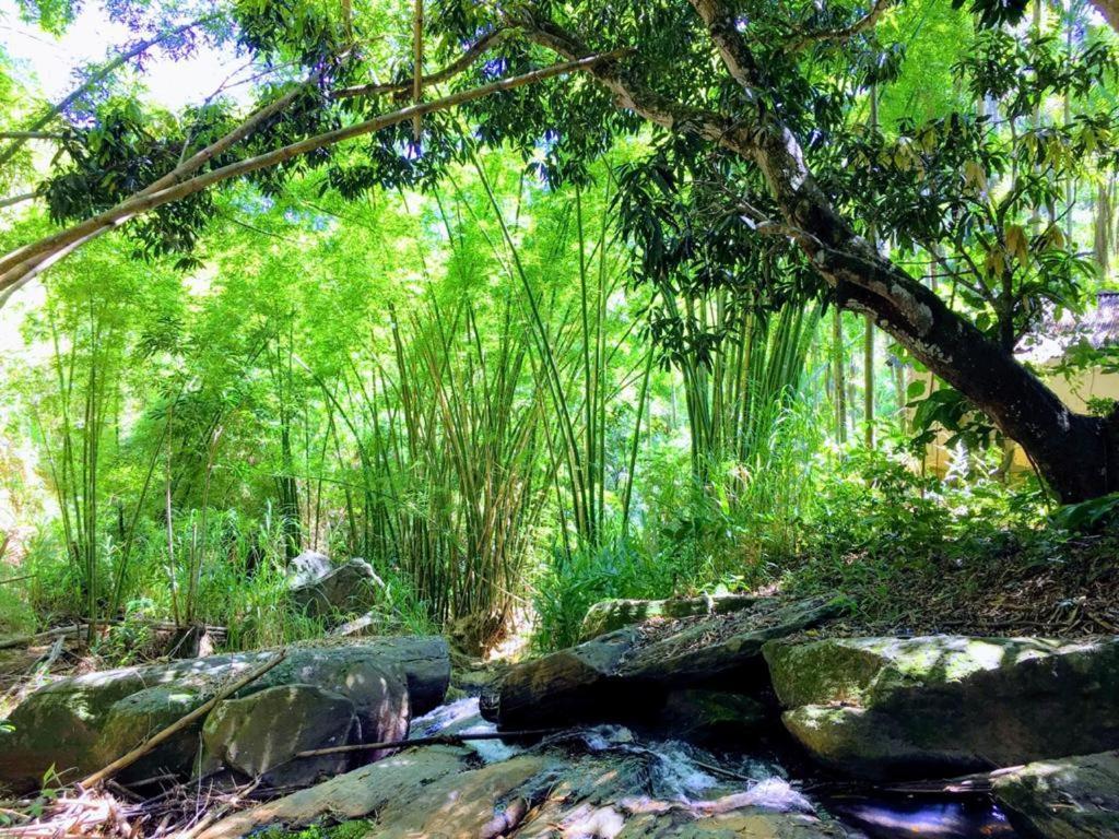 Casa/Sitio Na Serra Em Bom Jardim - Rj Esterno foto
