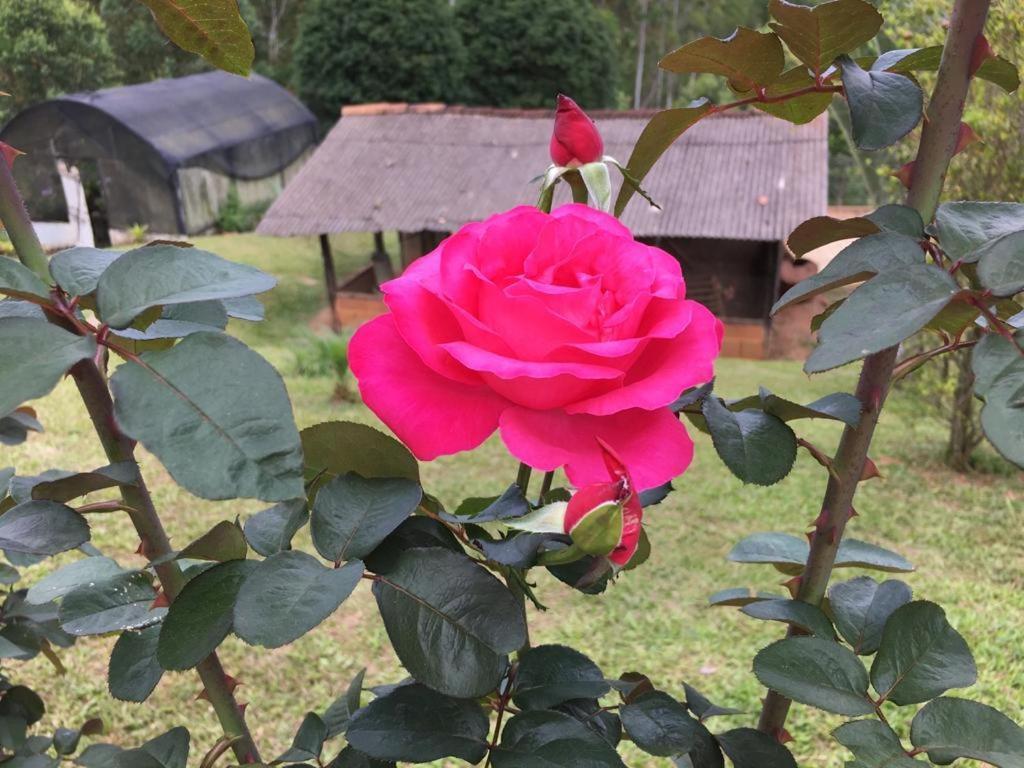 Casa/Sitio Na Serra Em Bom Jardim - Rj Esterno foto