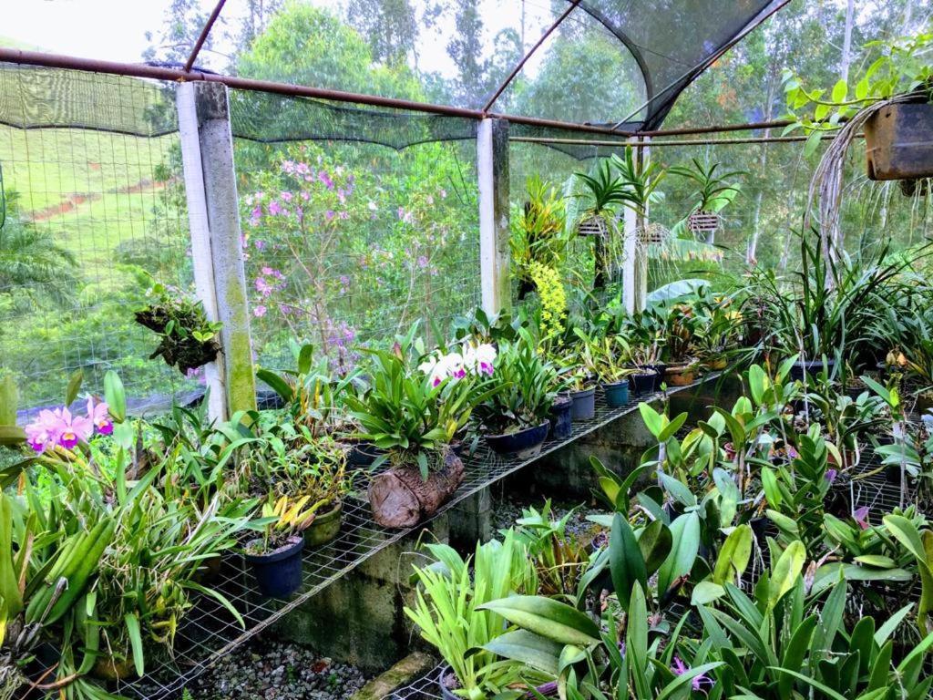 Casa/Sitio Na Serra Em Bom Jardim - Rj Esterno foto