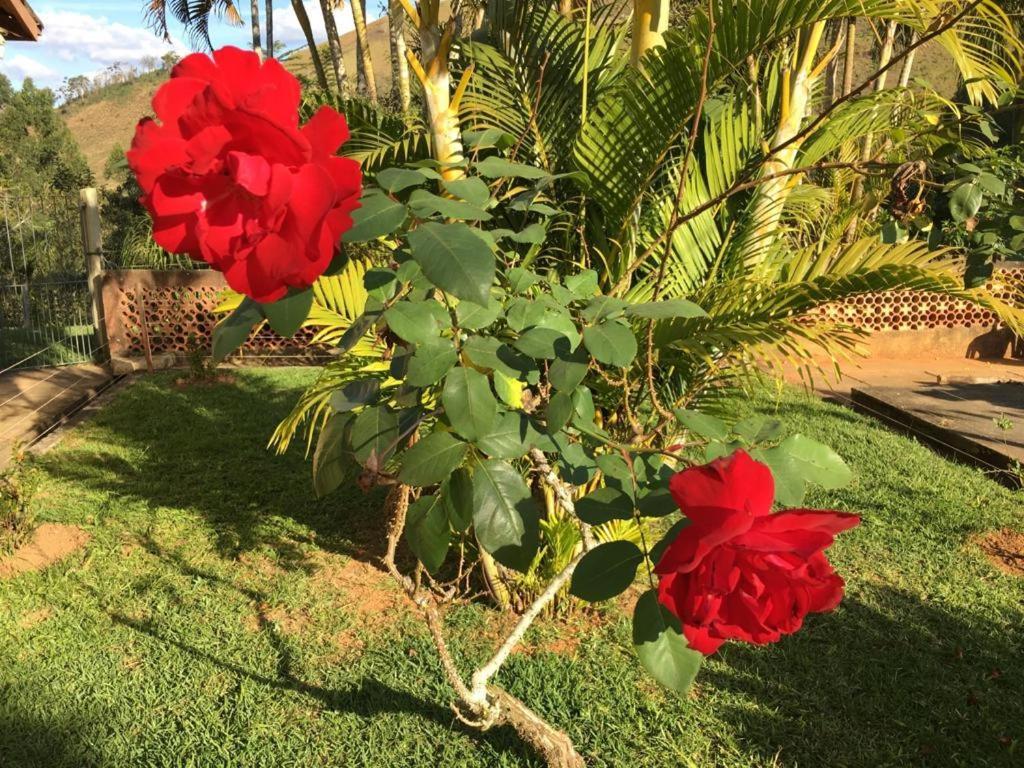 Casa/Sitio Na Serra Em Bom Jardim - Rj Esterno foto