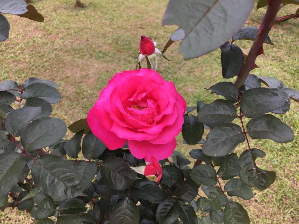 Casa/Sitio Na Serra Em Bom Jardim - Rj Esterno foto