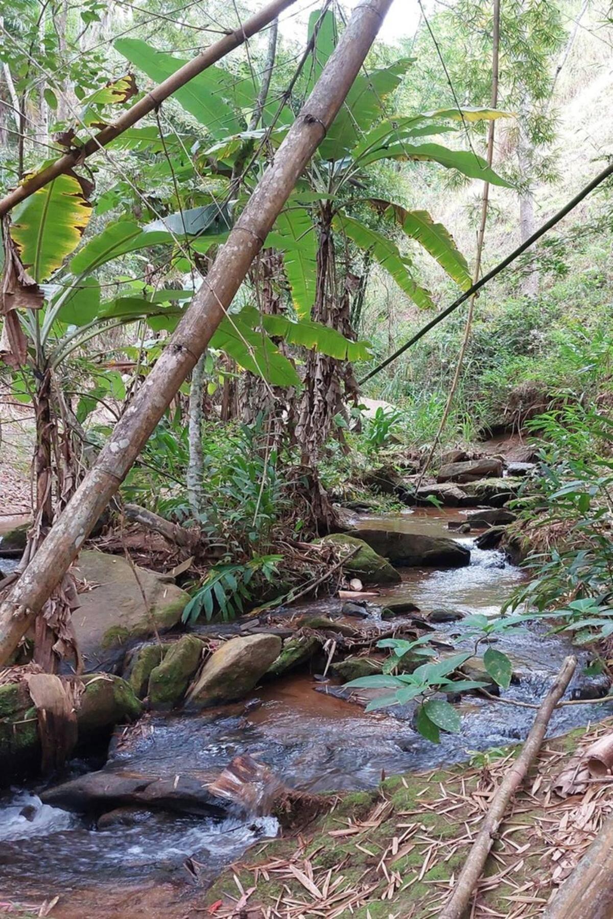 Casa/Sitio Na Serra Em Bom Jardim - Rj Esterno foto